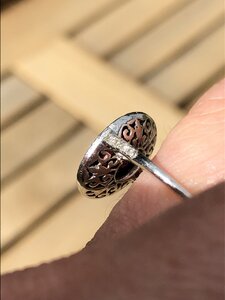 IMG_8149.jpeg