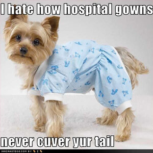 gown.jpg