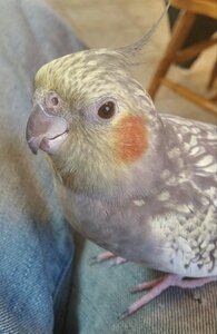 20160730_124429_HDR-1.jpg