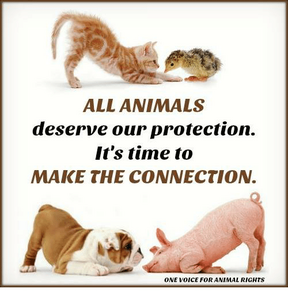 all-animals-deserve-our-protection-its-time-to-make-the-17094253.png