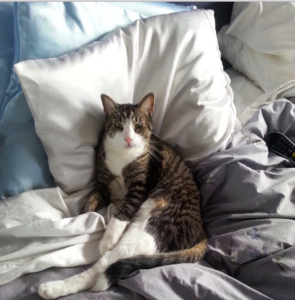 bobbyhangingoutinbedroom.jpg.png