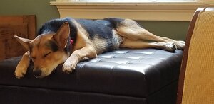 20190728_110911.jpg