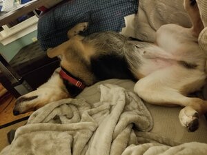 20191208_183613.jpg