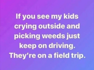 1588619880415.png
