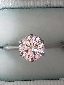 20181111_121609.jpg