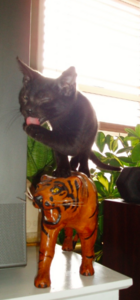 frankieontiger.png