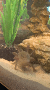 C89E53C6-B659-454A-898A-7B104892F3C5.gif