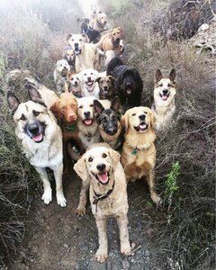 Heaven.jpg