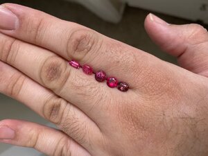 7687E27B-DDF7-411A-8DED-424B0F281D90.jpeg