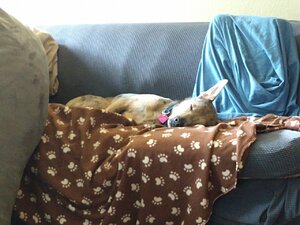 IMG_20200108_133709869.jpg