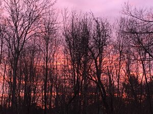 IMG_2389.jpg