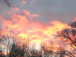 IMG_3916.JPG
