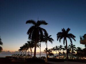 20190512_051035_resized.jpg