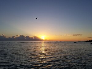 20190512_054831_resized.jpg
