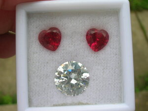 DSCN7306.JPG