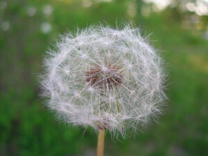 DSCN0290.JPG