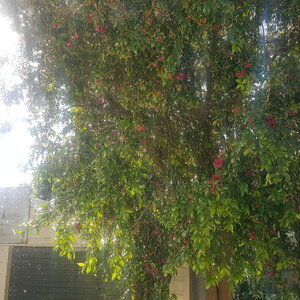 20200506_141353.jpg