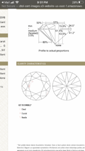 CF66C541-1A5C-40A8-825A-08E3E0BACD22.png