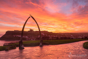 Whitby-Whale-Bones.jpg
