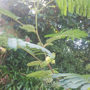 20200509_122333.jpg