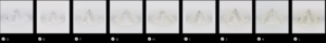 Screenshot 2020-05-09 20.40.49.png