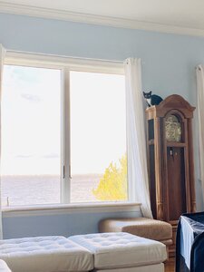 D5267433-705B-462A-B0F0-58902EC00B31.jpeg