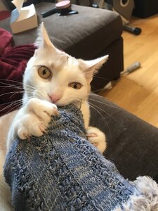 FDAE8971-D30E-4BD9-ABDE-7FC50595E662.jpeg