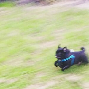 9E342F44-1B0A-4C08-A37C-2601831E0BDE.jpeg