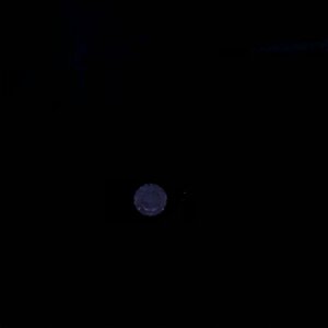E5EB0432-CC1D-474E-8975-1810101A1CA1.jpeg
