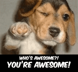 giphy.gif