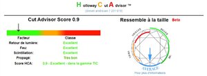 HCA_0.9.jpg