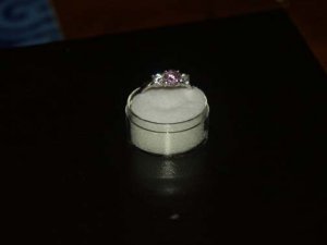 ringpic243.jpg