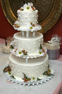 Professional Wedding Pictures 012.jpg
