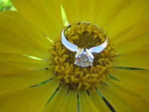 Ring Flower 2.jpg