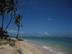 OahuCRB922.jpg