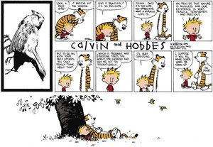 lifeisfragilecalvinandhobbes.jpg lifeisfragilecalvinandhobbes.jpg