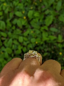 IMG_20200519_163343.jpg