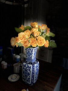 C64617A4-5B9C-4A21-9275-F9417E64BD40.jpeg