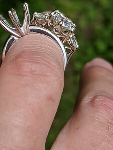 IMG_20200523_121701.jpg