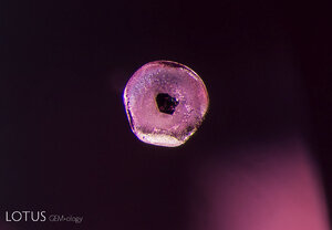 apatite crystal, common in spinel from both Burma and Sri Lanka.jpg