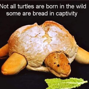 E56D6F80-ADE3-4E09-A098-D5E65847C95B.jpeg