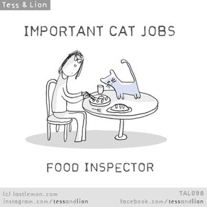 foodinspector.jpg
