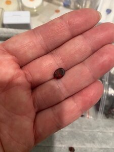 Garnet Loose oval 1 .jpg Garnet Loose oval 1 .jpg