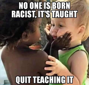 nooneisbornracist.png