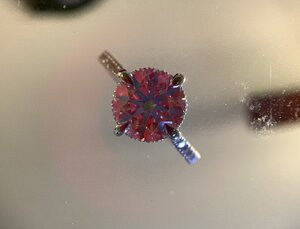 IMG_6453.jpg