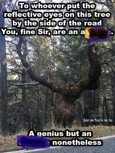EE492BFE-5257-4274-9777-A0372ACE44CC.jpeg