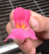 3898E422-5DFB-4C93-86FC-8BB29E9E2C71.gif