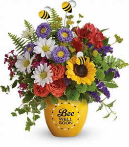 telefloras-bee-well-soon-pot-flower-arrangement-5b5c97357e9de.425.png
