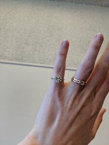 IMG_20190413_123158.jpg