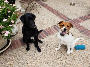 Resized_20180811_182857.jpeg